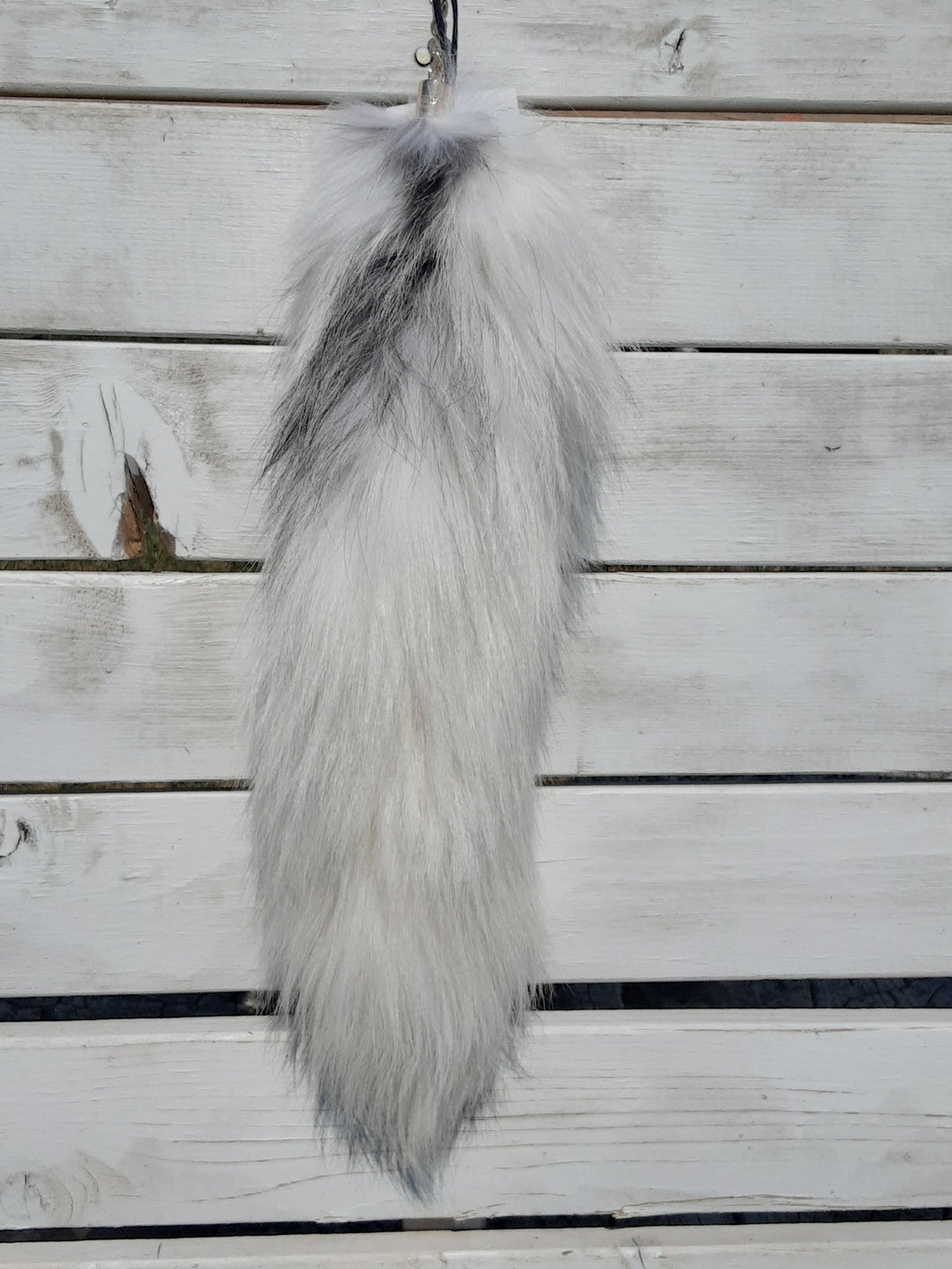 White with a splash of grey foxtail