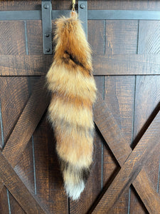 American red foxtail