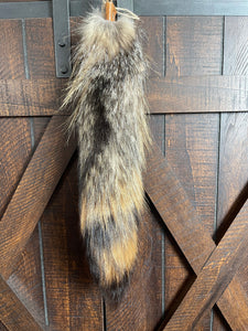 American grey fox tail